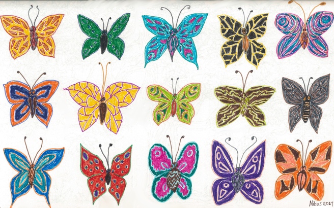 Full-Colour pen drawing, in landscape orientation, of fifteen butterflies, with imaginary rather than actual species’ colours and wing markings. They are arranged in three rows of five, and there is no background other than the page which they have been drawn.